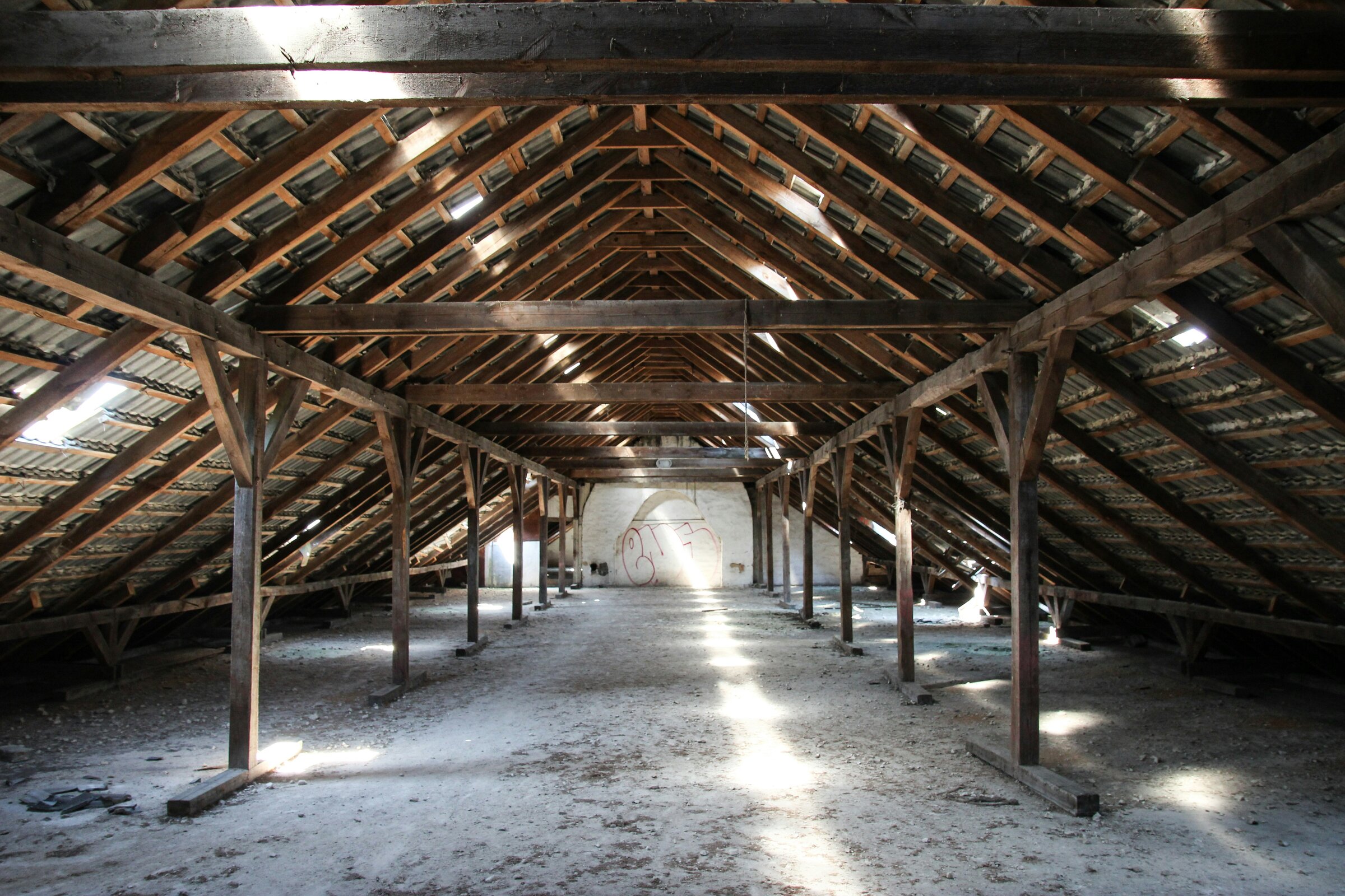 Zolder, marterbestrijding